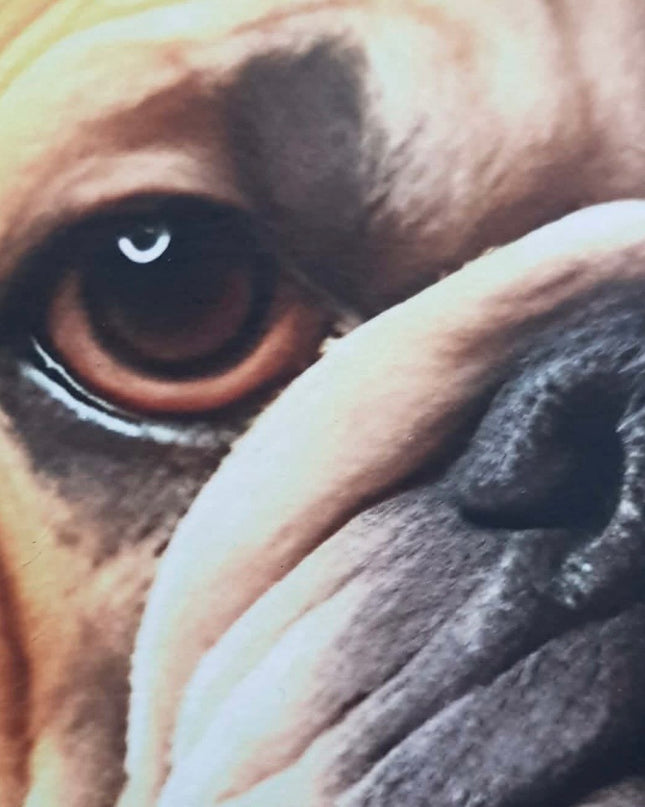 Posh Papers Decoupage Paper - Steampunk Bull Dog