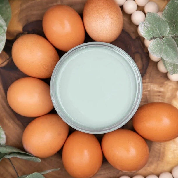 Dixie Belle VINTAGE DUCK EGG Chalk Mineral Paint