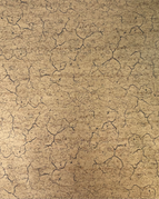 10cm sample