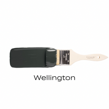 Fusion Mineral Paint Wellington