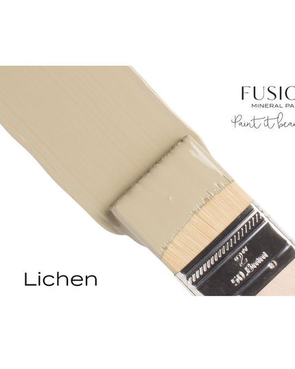 Fusion Paint Lichen