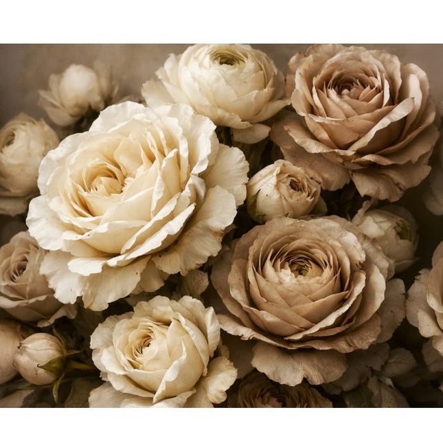 Mint by Michelle -  Antique Cream Rose Decoupage Paper