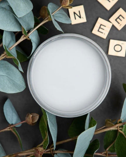 Dixie Belle MANATEE GREY Chalk Mineral Paint