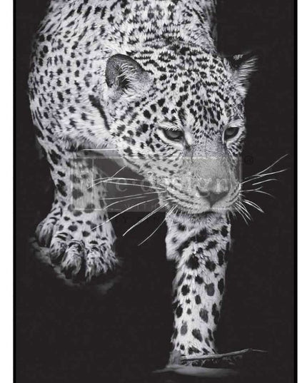 Feline Gaze Redesign With Prima Fiber Decoupage Paper 1