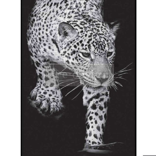 Feline Gaze Redesign With Prima Fiber Decoupage Paper 1