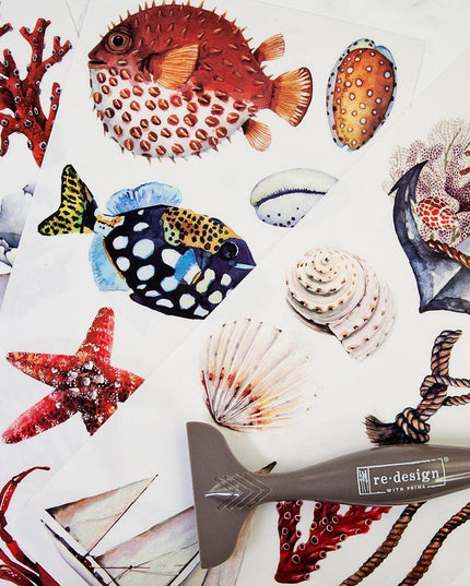 Amazing Sea Life
