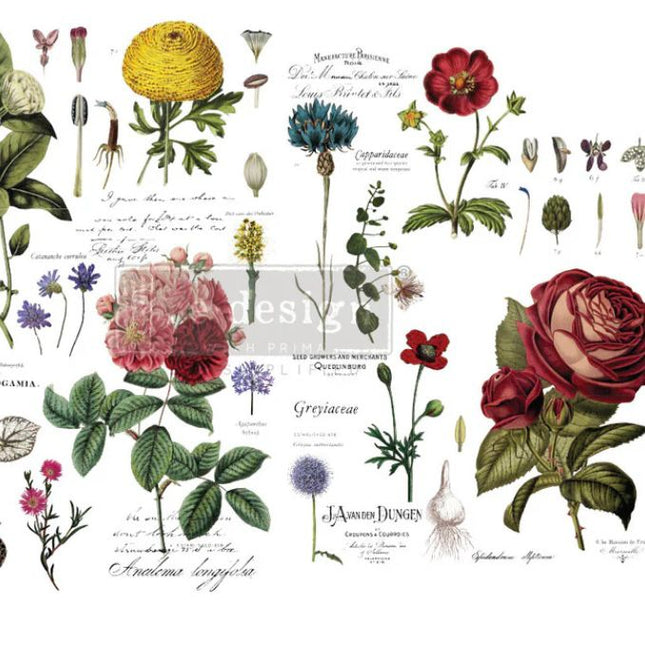 Redesign with Prima - Vintage Botanical Large Decor Transfer