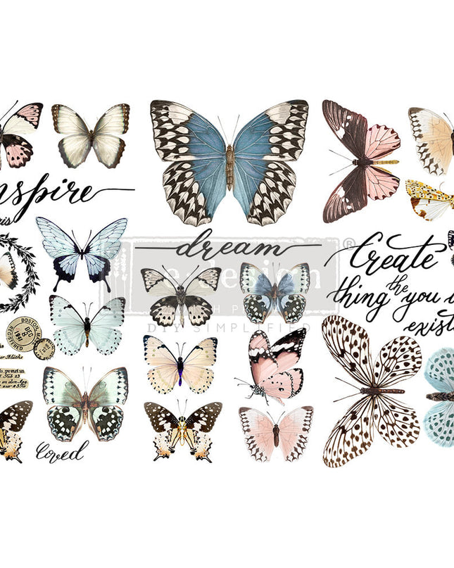 Papillon Collection Redesign With Prima