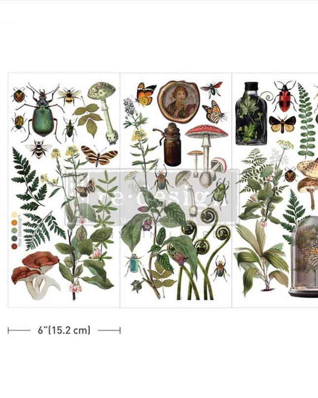 Redesign with Prima Botanical Archives Small Decor Transfer