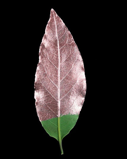 Guild Lane Metallics Rose Gold