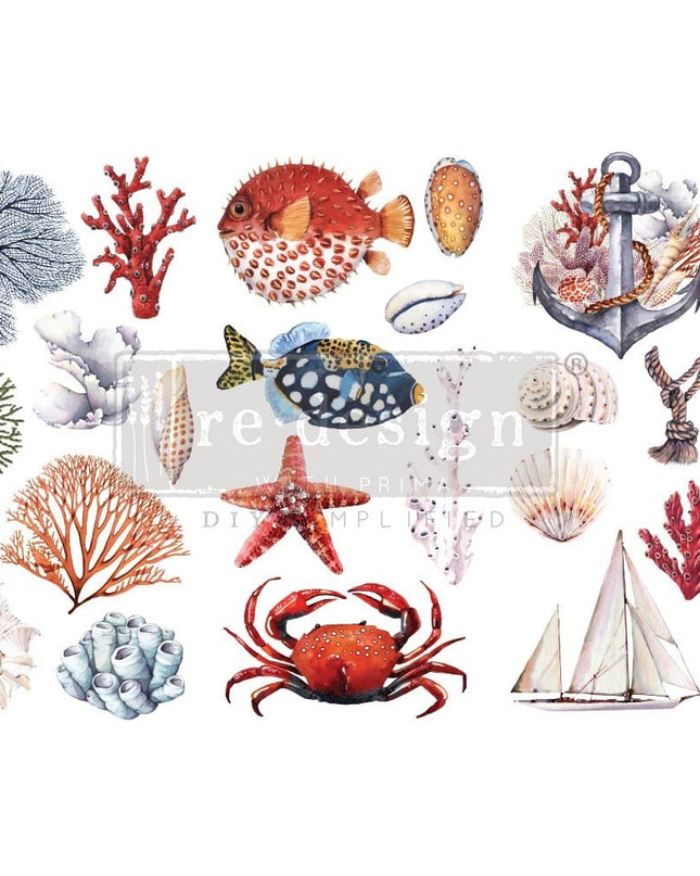 Amazing Sea Life