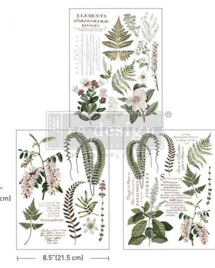 Redesign with Prima Greenery Grace Middy Decor Transfer