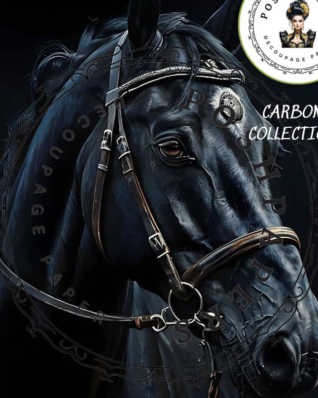 Dark horse with bridle on a black background, featuring 'Posh Papers' logo.