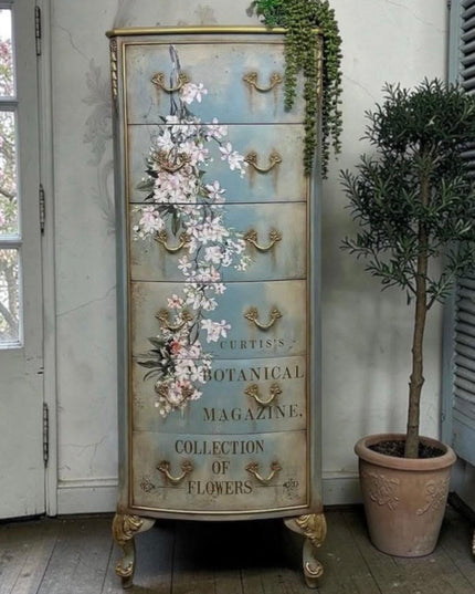 Redesign with Prima Decor Transfer Blossom Botanica