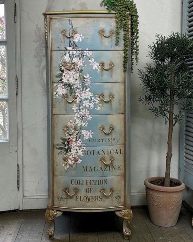 Redesign with Prima Decor Transfer Blossom Botanica