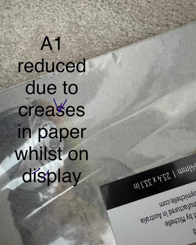 Mint by Michelle - Uncaged Parrot Decoupage Paper